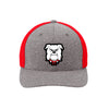 Romeo Bulldog Head Flexfit Hat