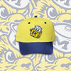 Vintage Michigan Wolverine Snapback Hat